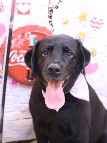 20230905こてつくん